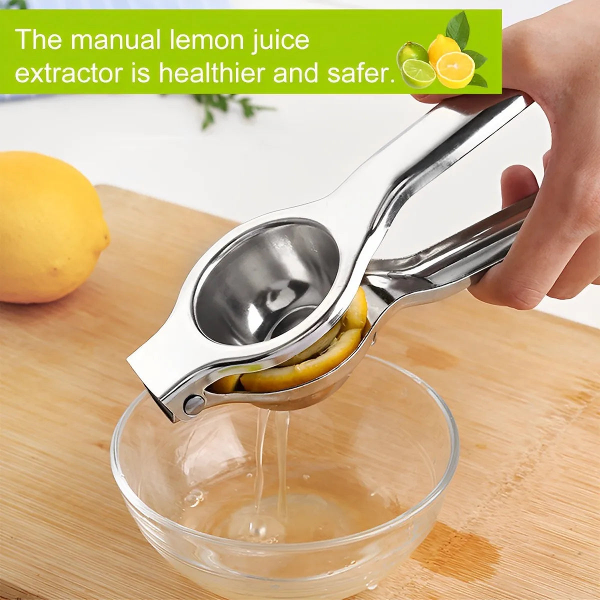 Stainless Steel Fruit /Citrus Juicer